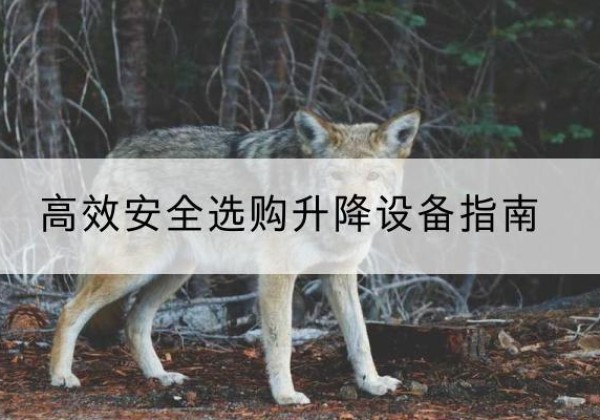 遂平升降货梯厂家推荐-*安全选购升降设备指南