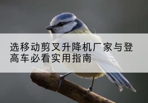 遂平电动升降机厂家-选移动剪叉升降机厂家与登高车必看实用指南