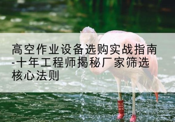 遂平剪叉式升降机厂家-高空作业设备选购实战指南-十年工程师揭秘厂家筛选核心法则