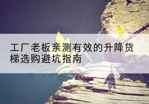 遂平升降货梯怎么选-工厂老板亲测有效的升降货梯选购避坑指南